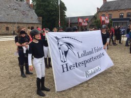 2015 Landsfinaler